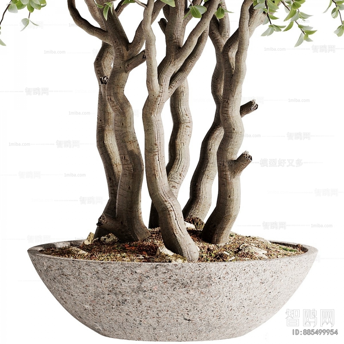 现代落地绿植盆栽树