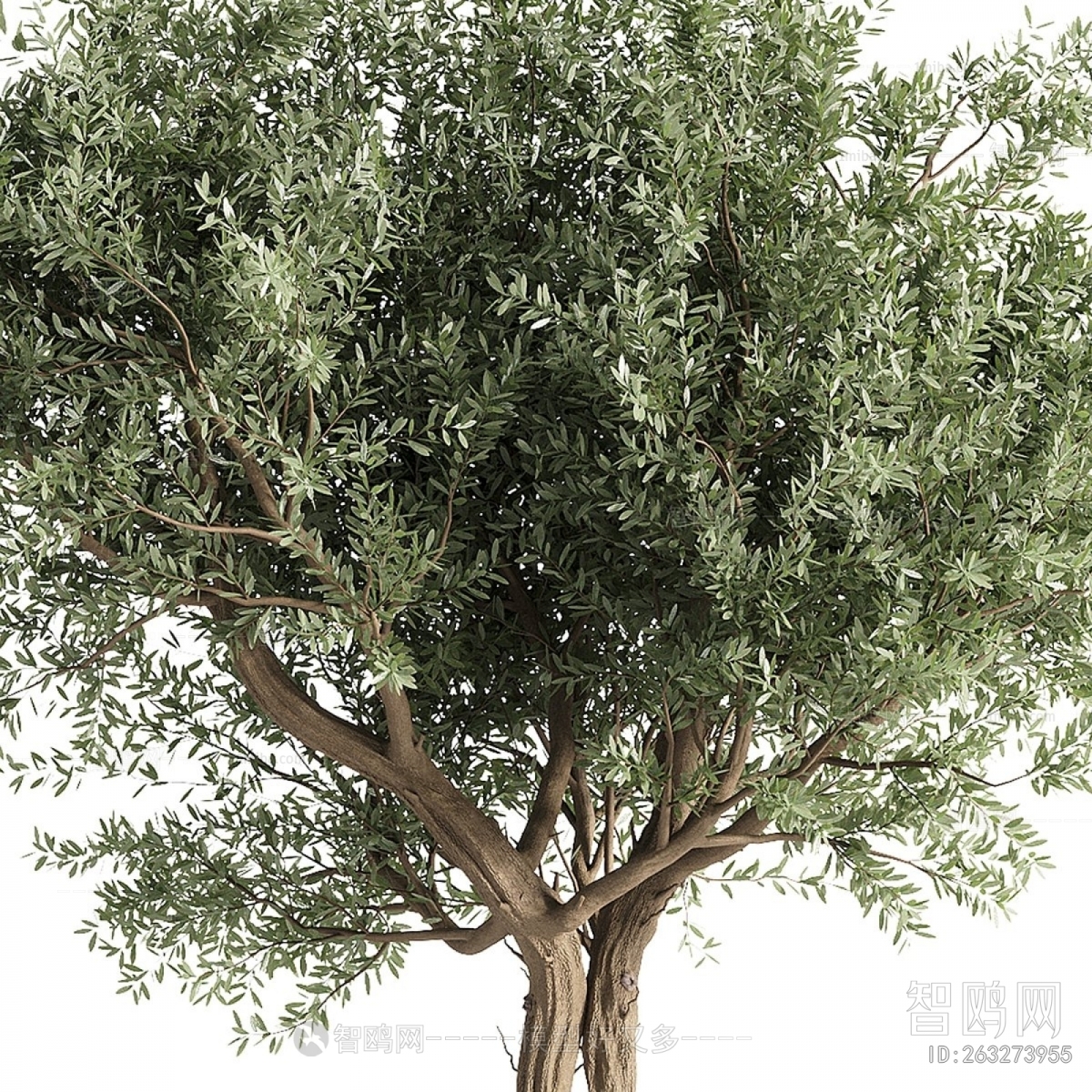 Modern Ground Green Plant Potted Plants