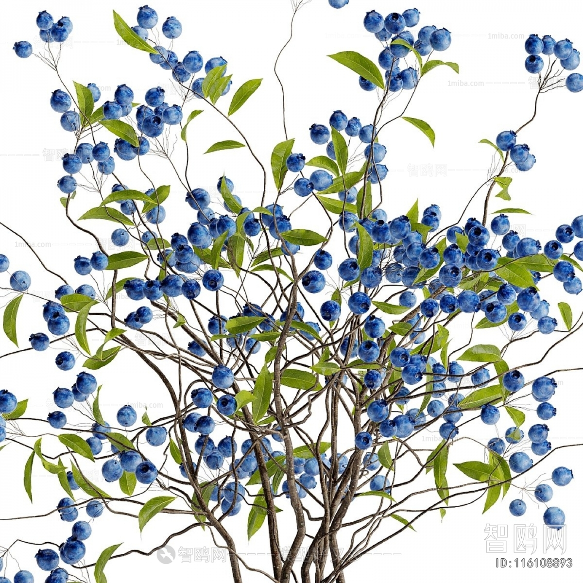 Modern Aquatic Green Plant