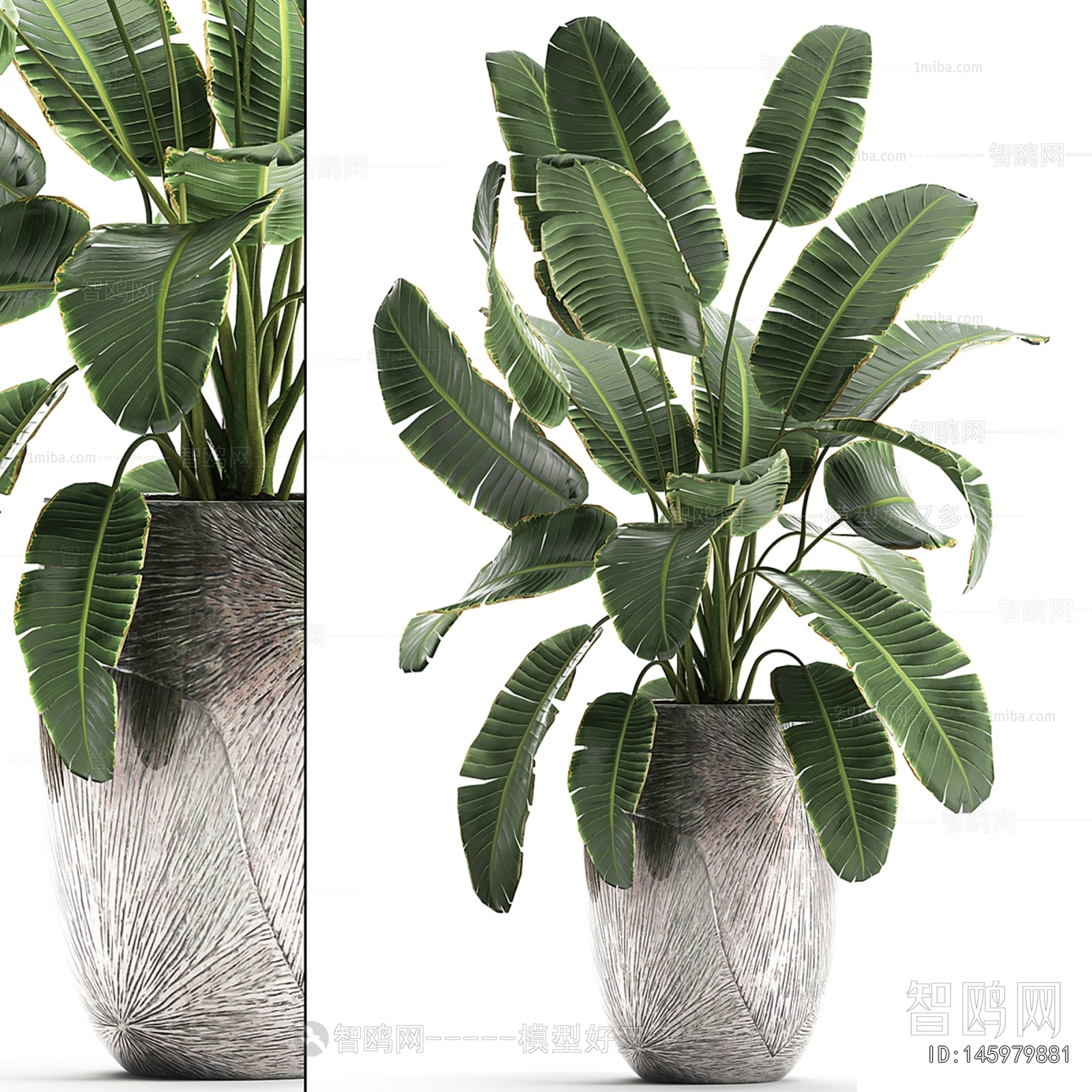 Modern Ground Green Plant Potted Plants