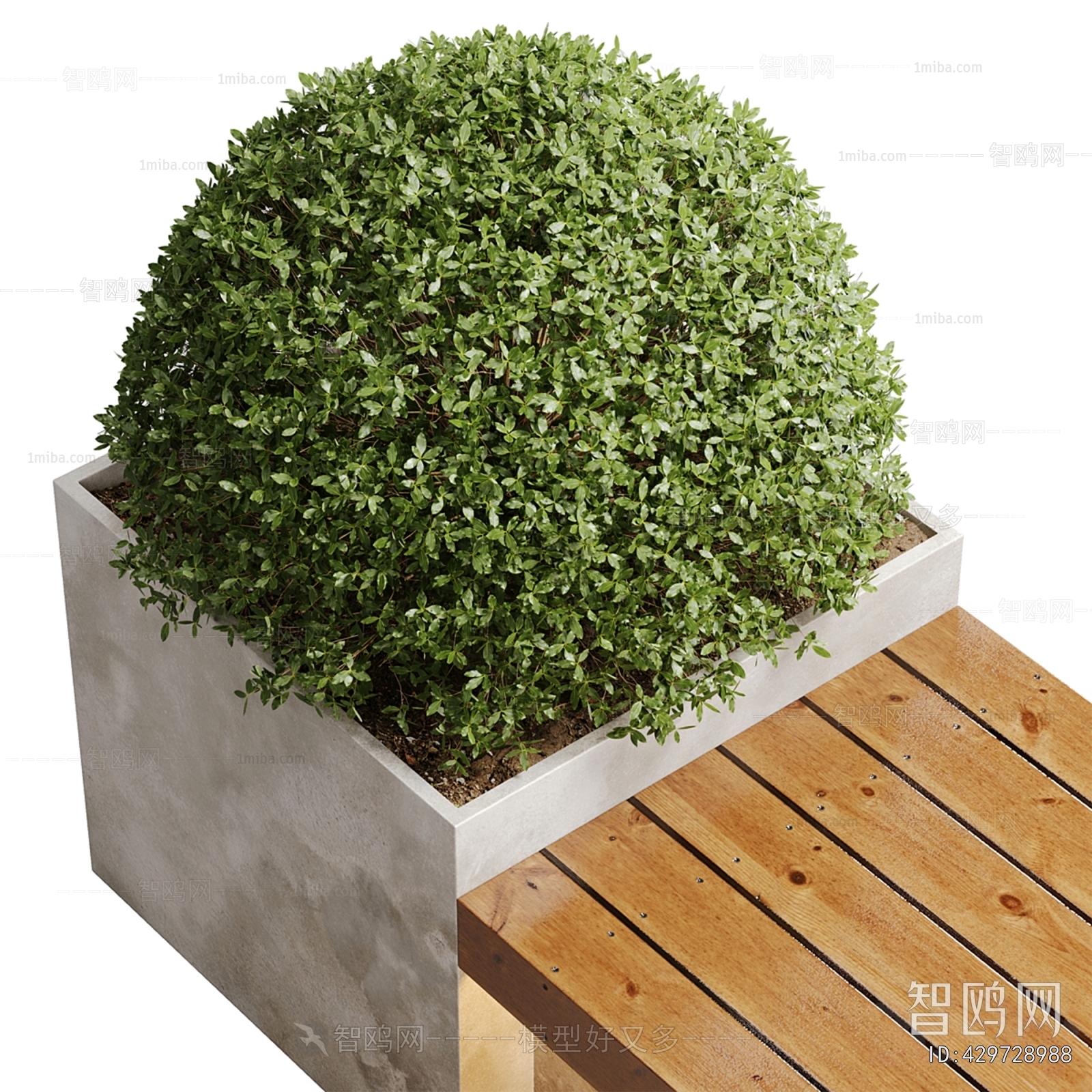 Modern Shrubbery