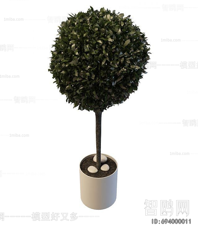 Modern Ground Green Plant Potted Plants