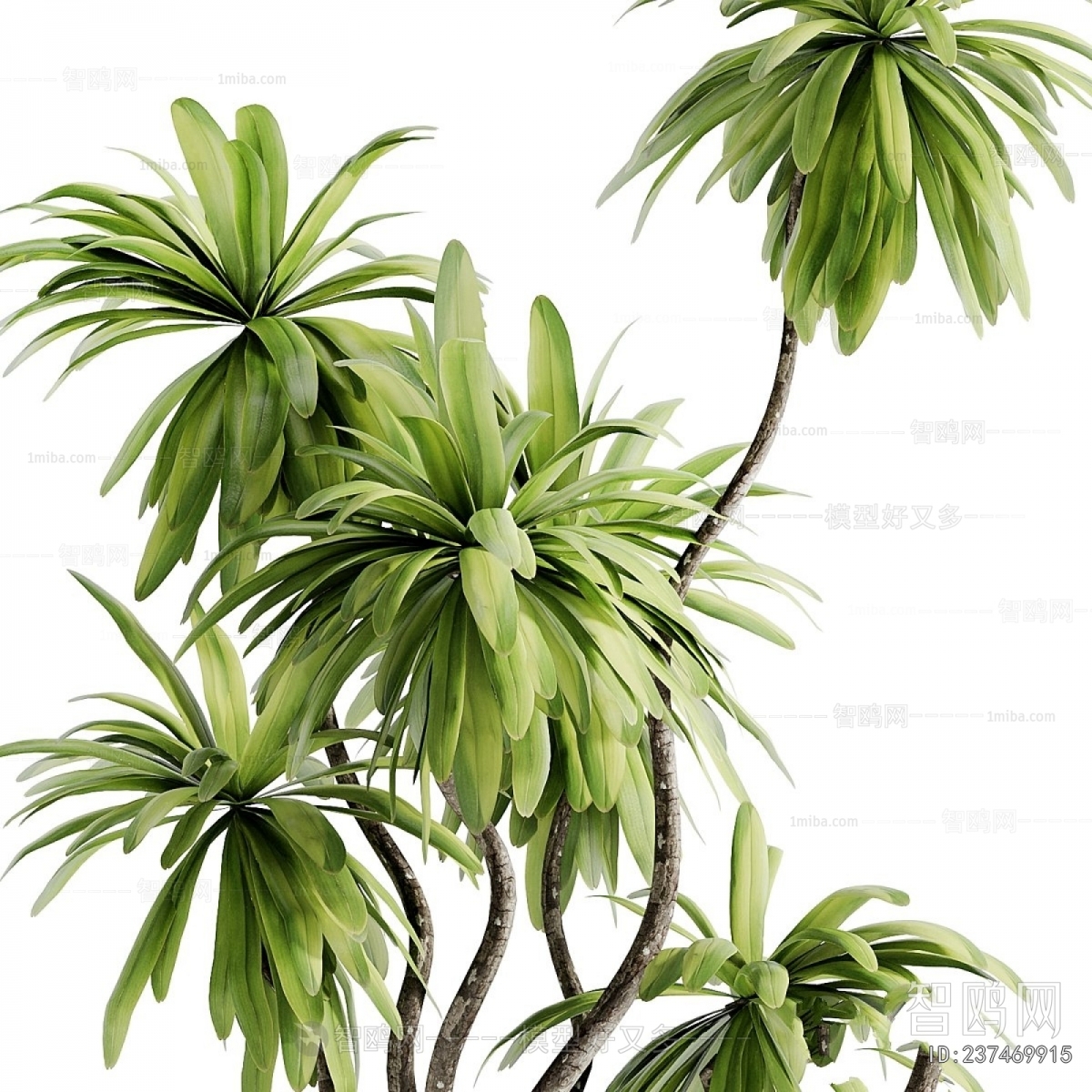 Modern Ground Green Plant Potted Plants