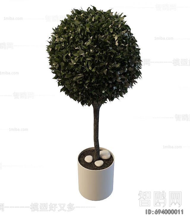 Modern Ground Green Plant Potted Plants