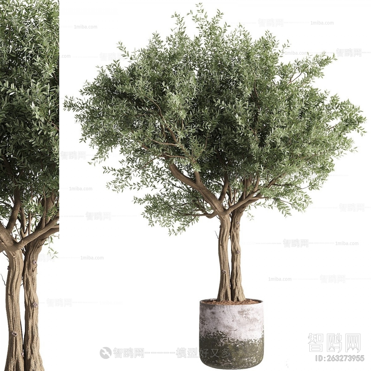 Modern Ground Green Plant Potted Plants