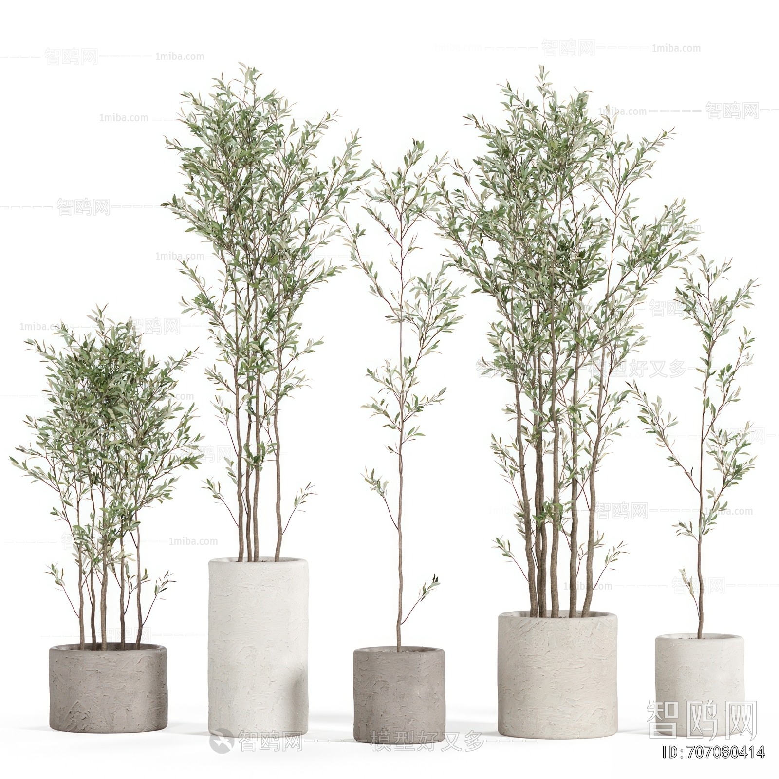 Modern Ground Green Plant Potted Plants
