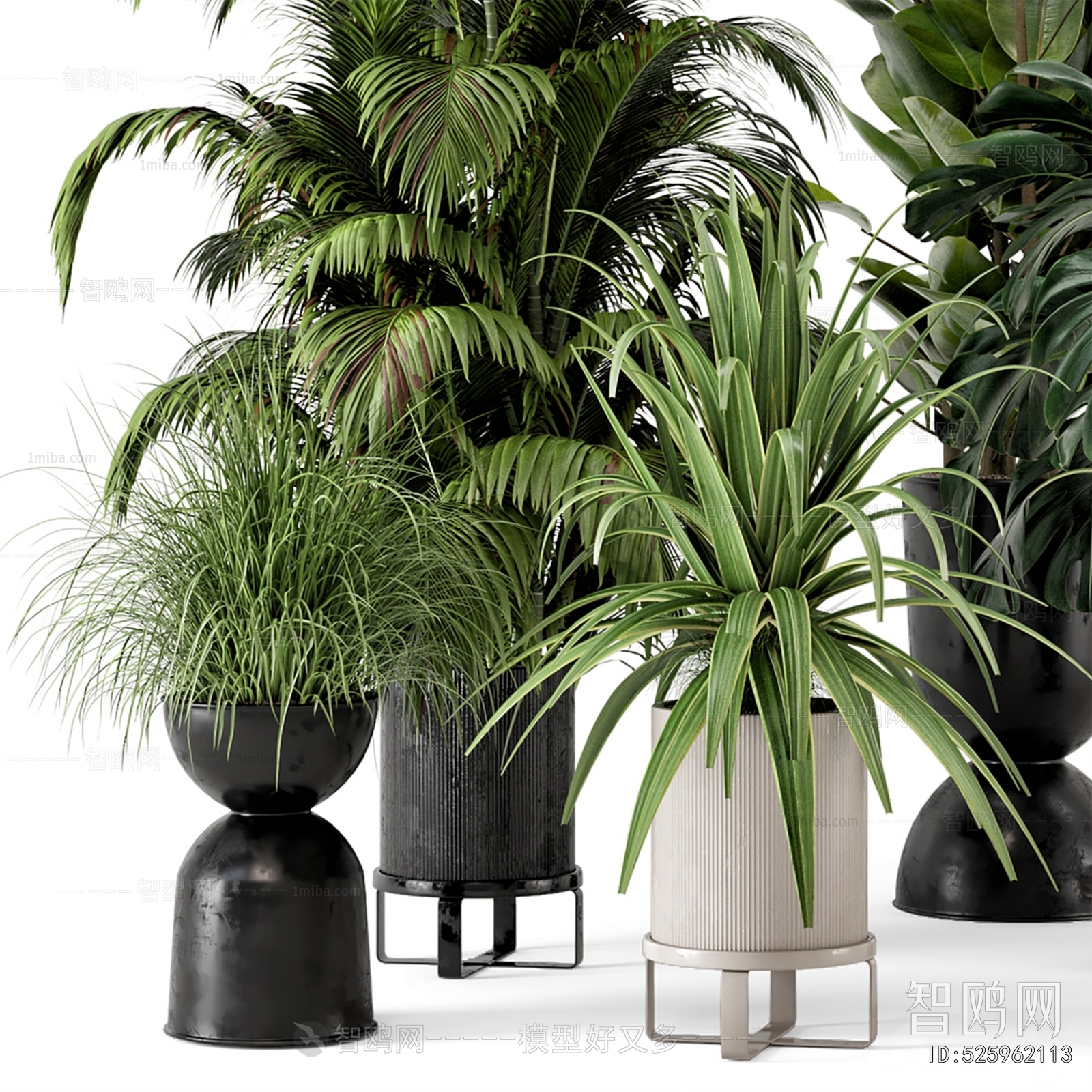 Modern Ground Green Plant Potted Plants