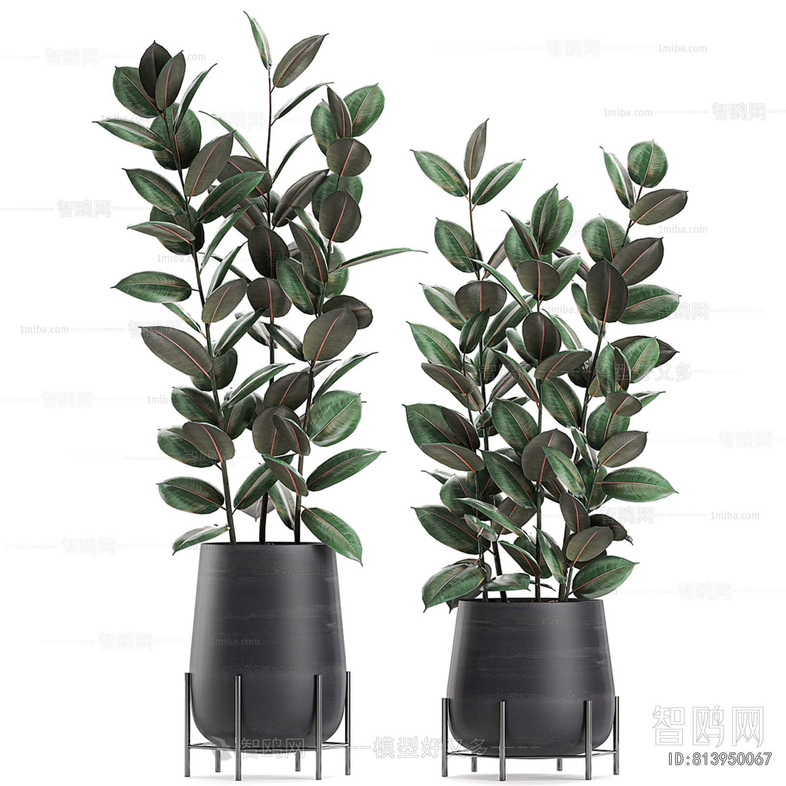 Modern Ground Green Plant Potted Plants