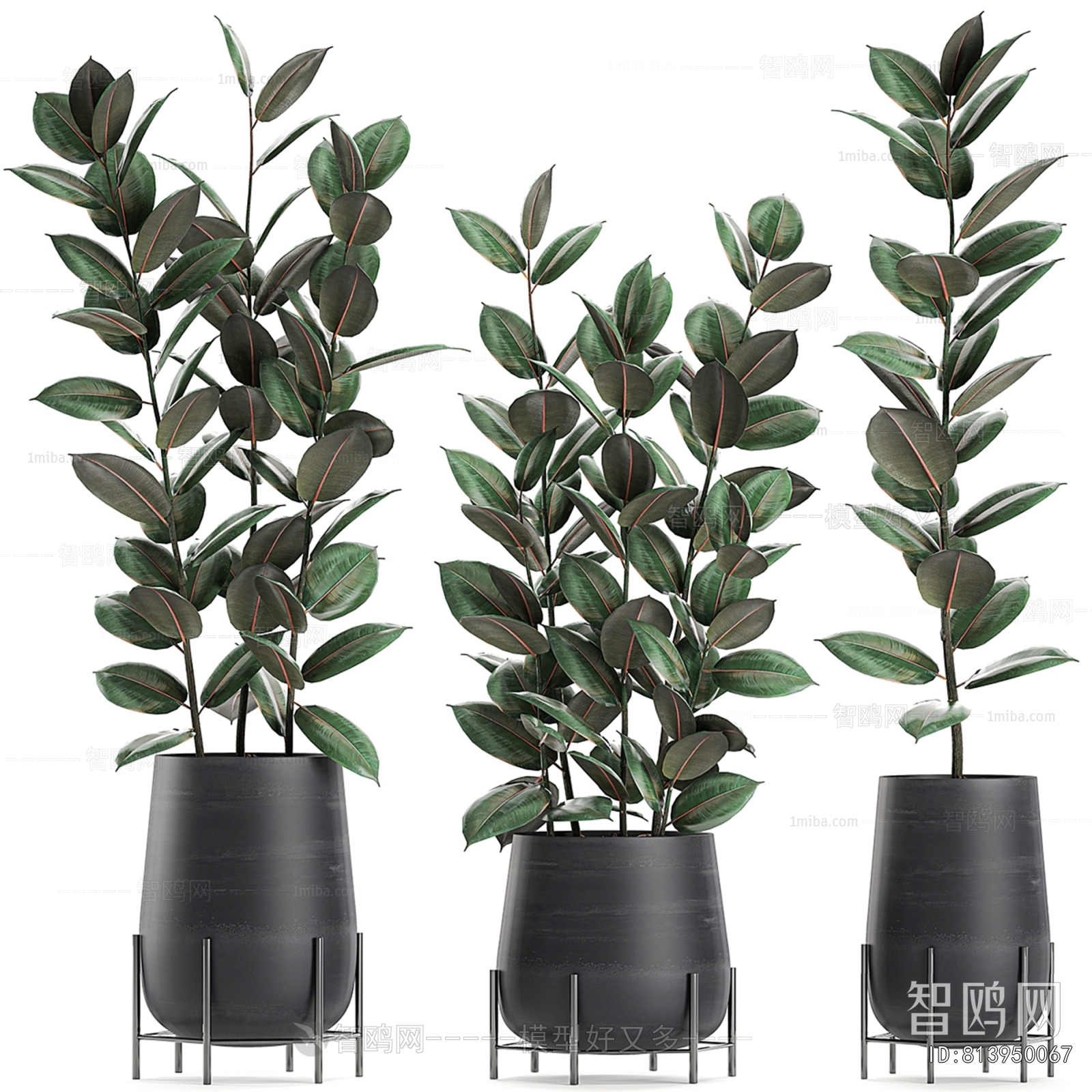 Modern Ground Green Plant Potted Plants