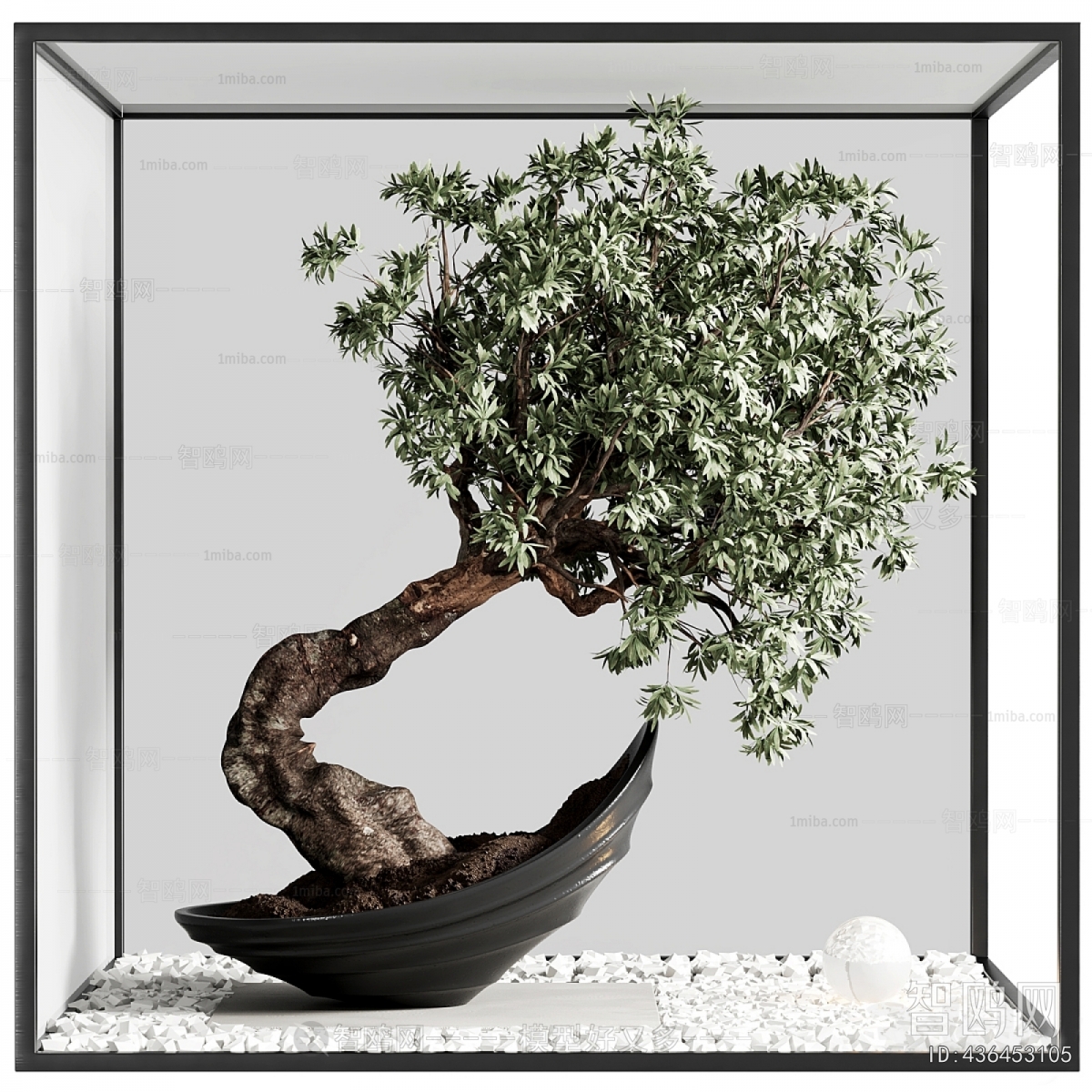 Modern Plant Landscaping