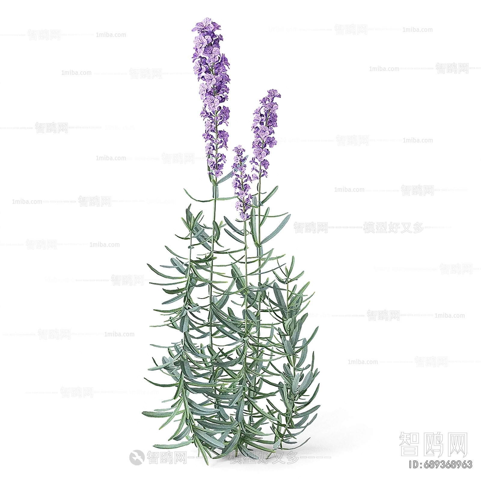 Modern Flowers And Grass