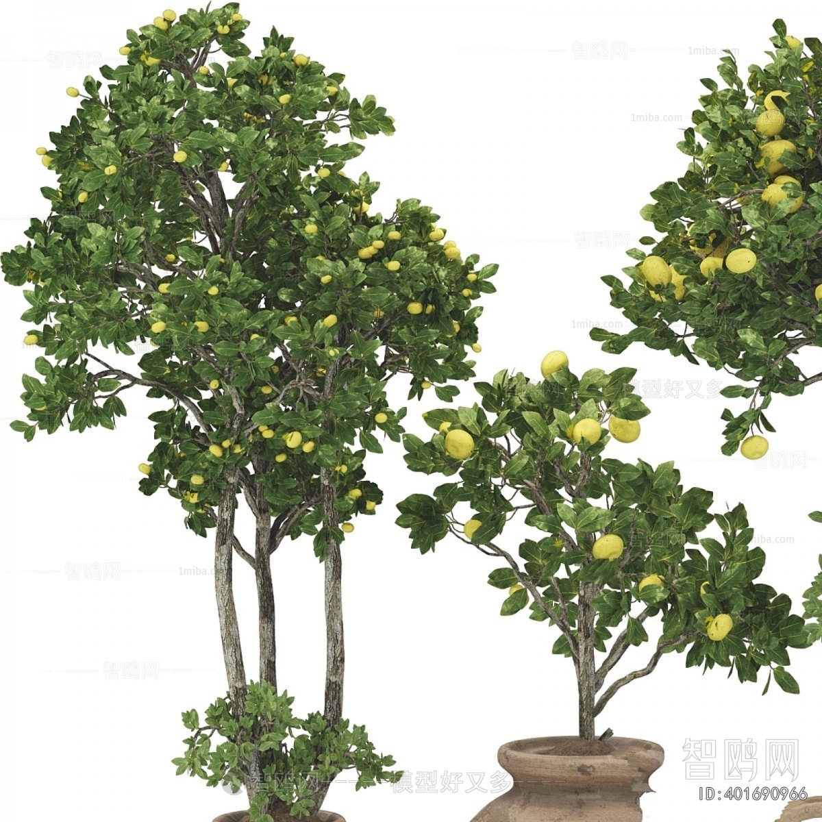 Wabi-sabi Style Ground Green Plant Potted Plants