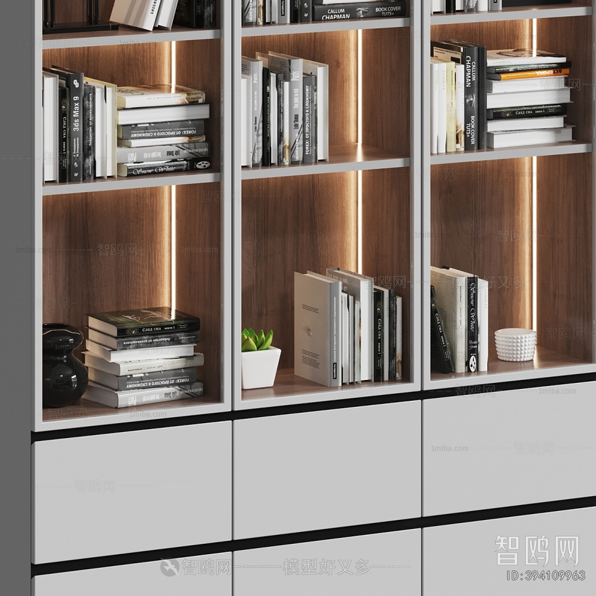 Modern Bookcase