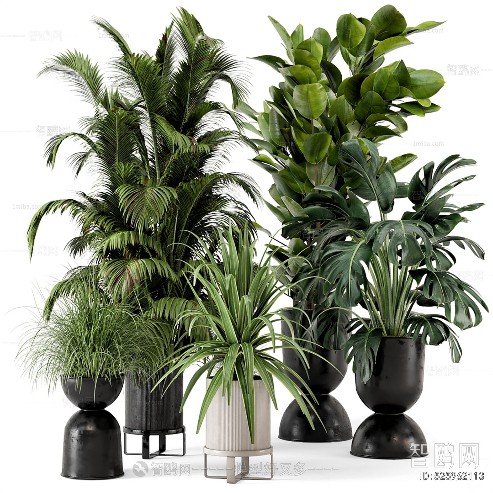 Modern Ground Green Plant Potted Plants