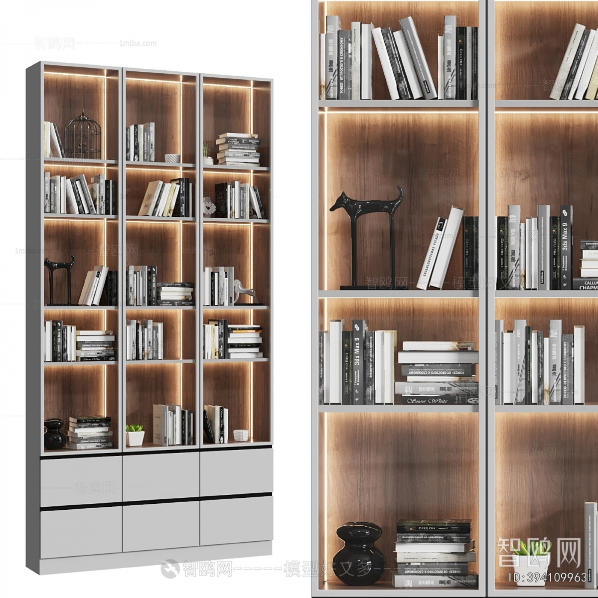 Modern Bookcase