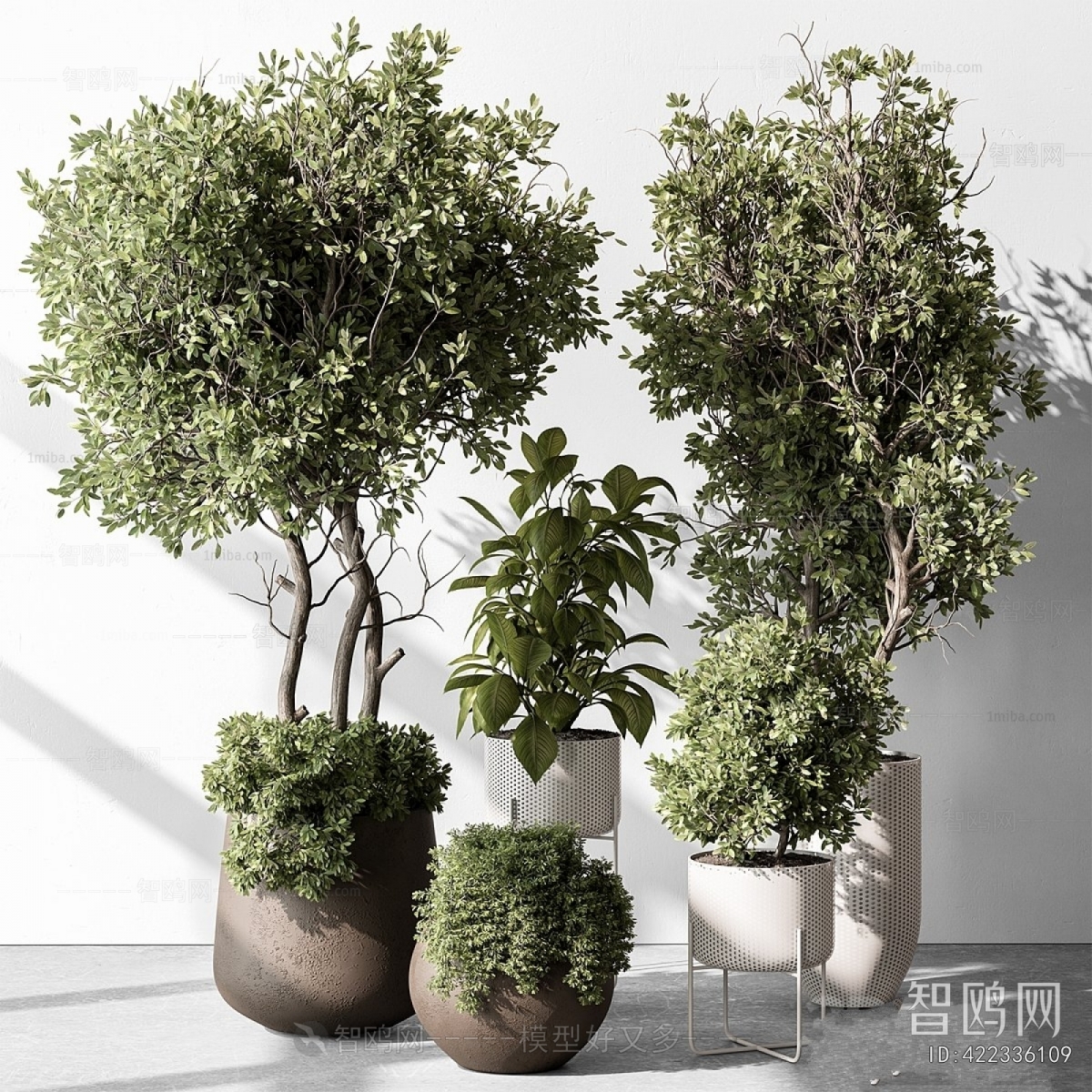 Modern Ground Green Plant Potted Plants