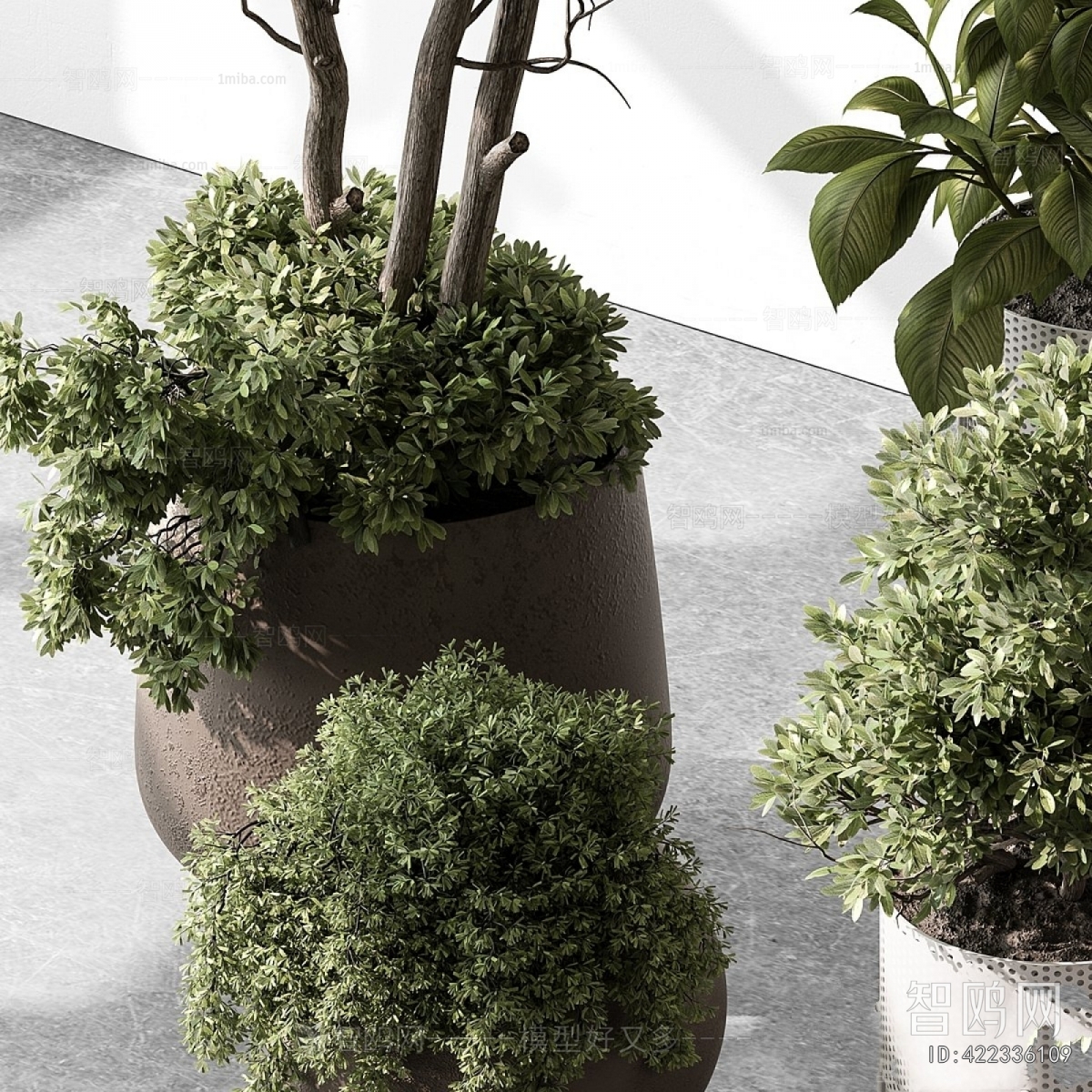 Modern Ground Green Plant Potted Plants