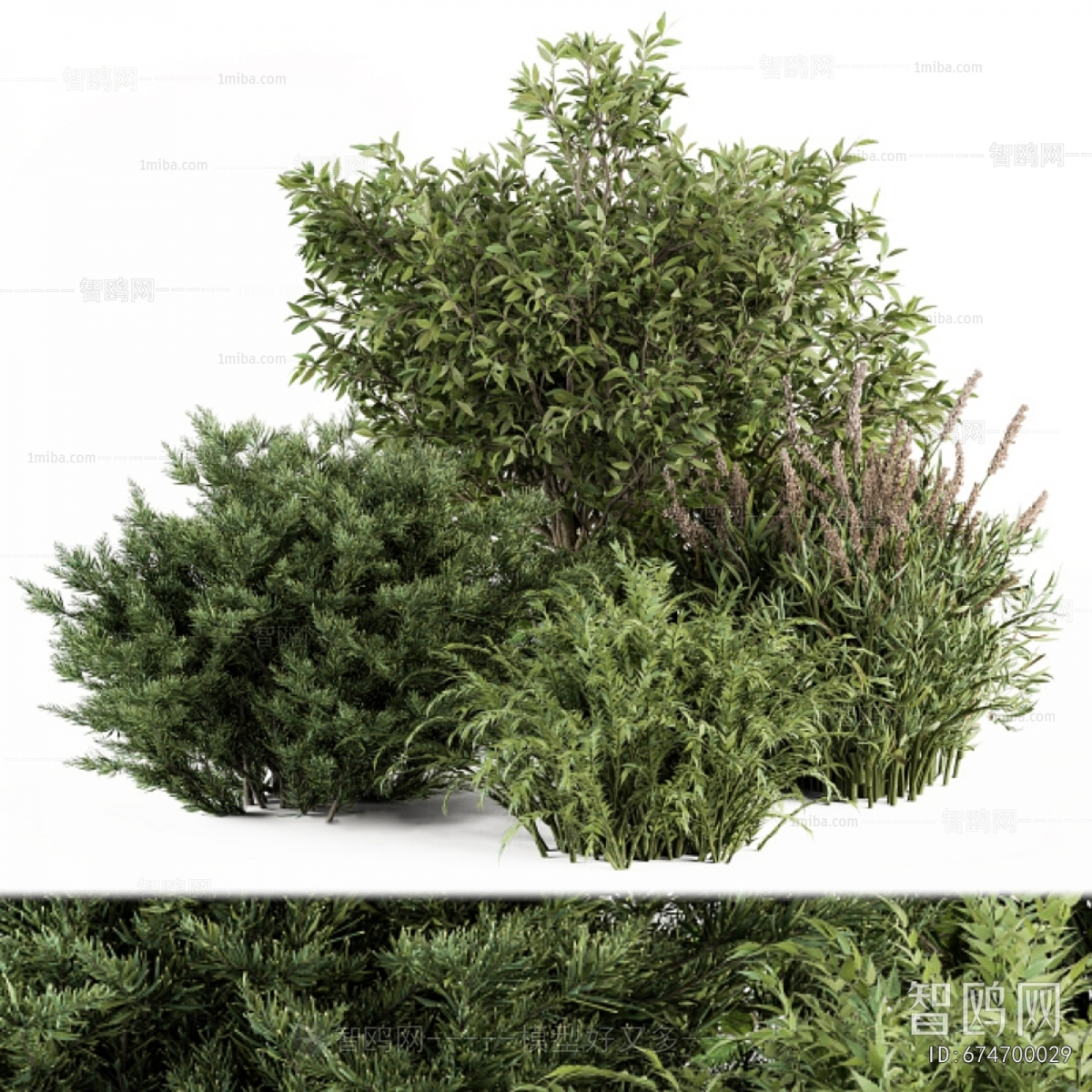 Modern Shrubbery