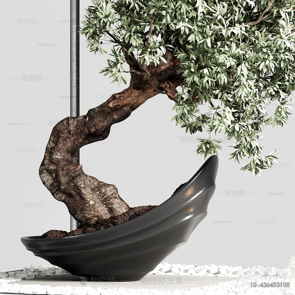 Modern Plant Landscaping