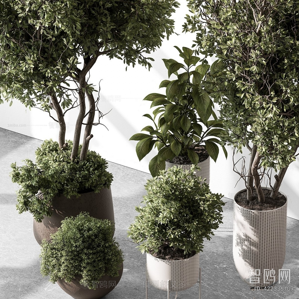 Modern Ground Green Plant Potted Plants