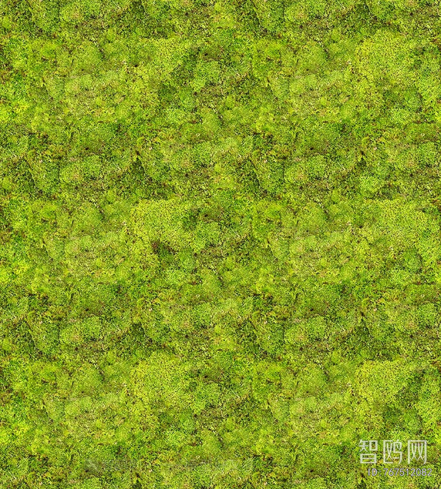 Animal And Plant Pattern Wallpaper