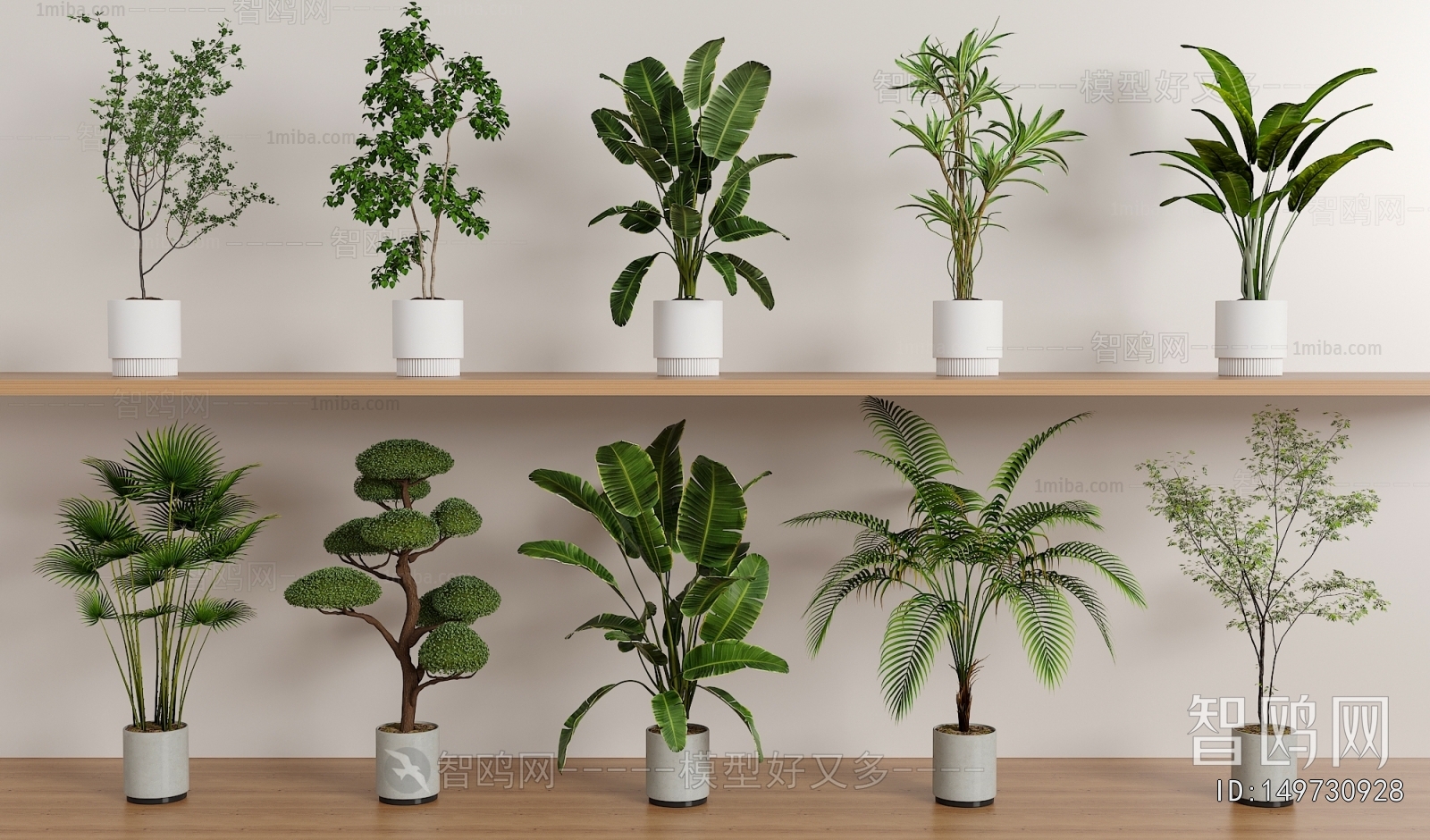 Modern Ground Green Plant Potted Plants