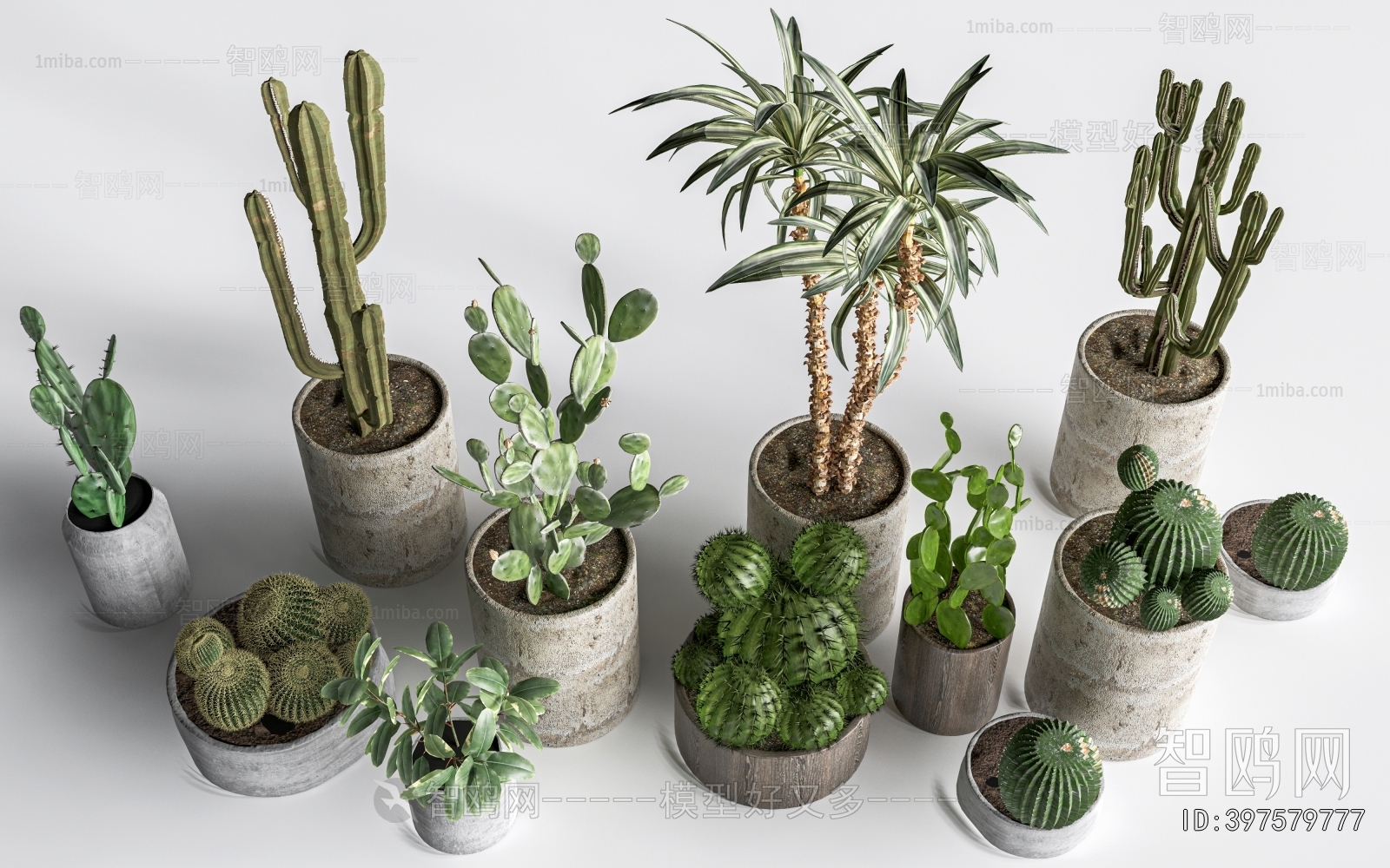 Modern Ground Green Plant Potted Plants