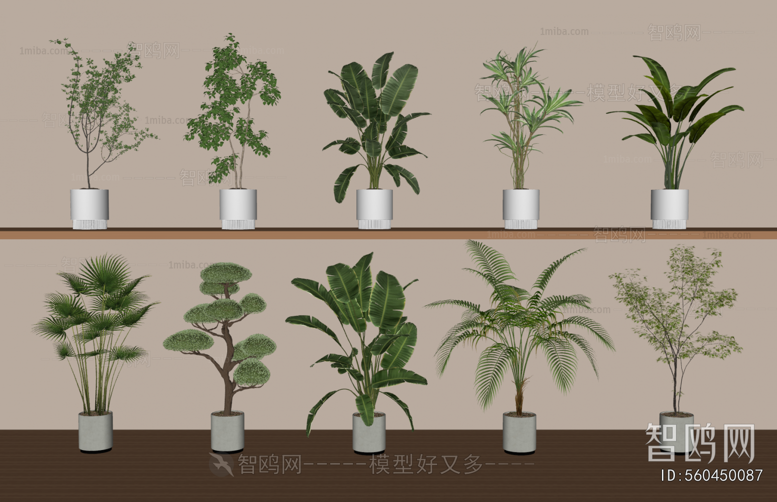 Modern Ground Green Plant Potted Plants