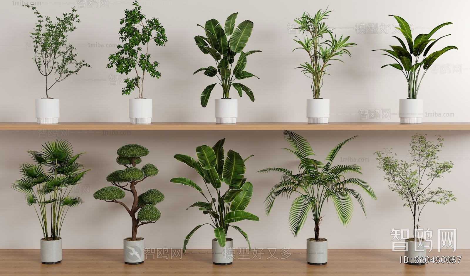 Modern Ground Green Plant Potted Plants