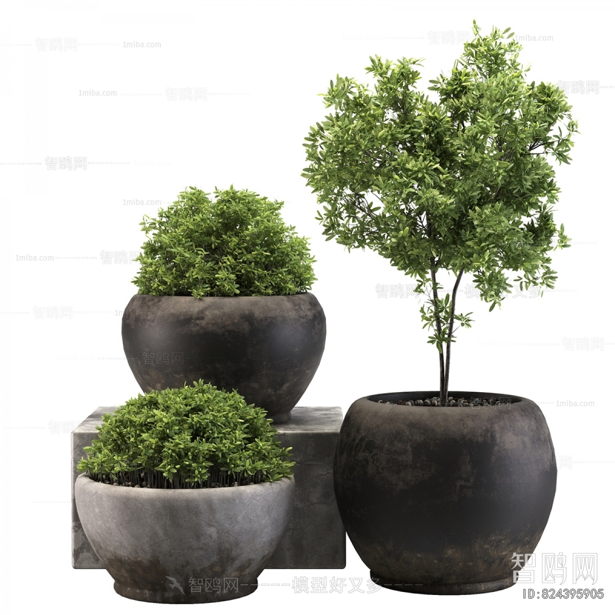 Modern Ground Green Plant Potted Plants