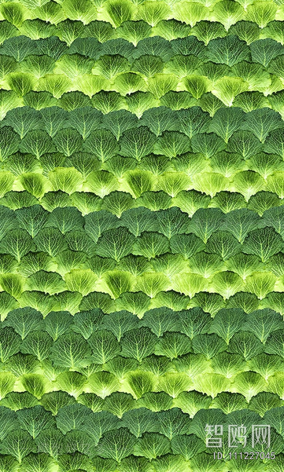 Pattern Wallpaper