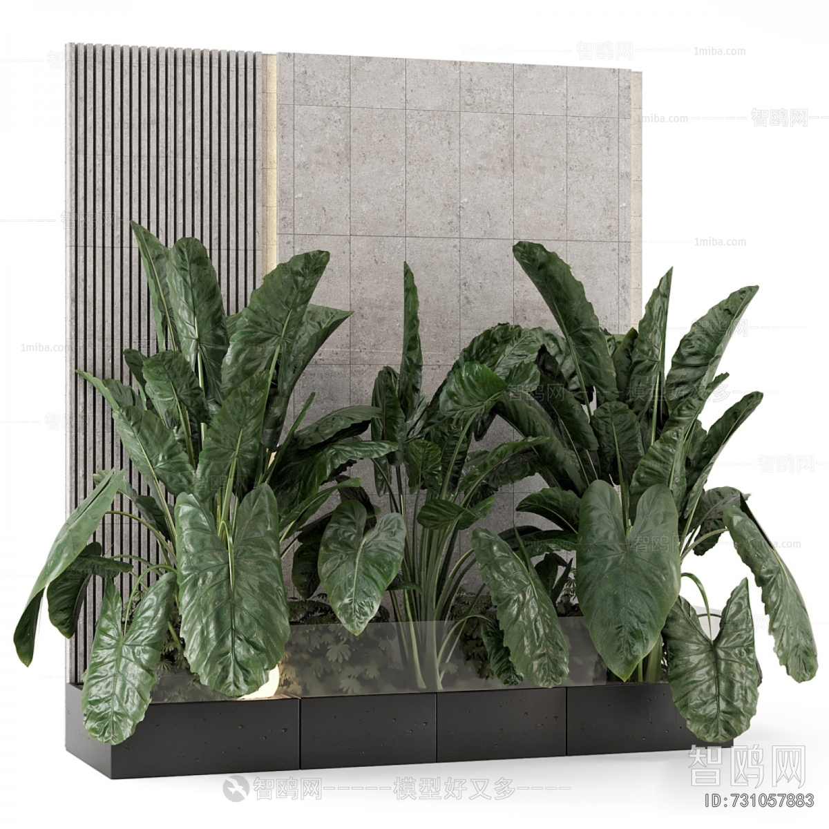 Modern Plant Landscaping