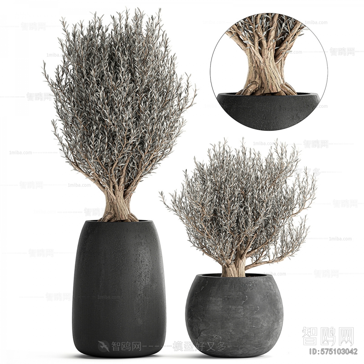 Modern Ground Green Plant Potted Plants