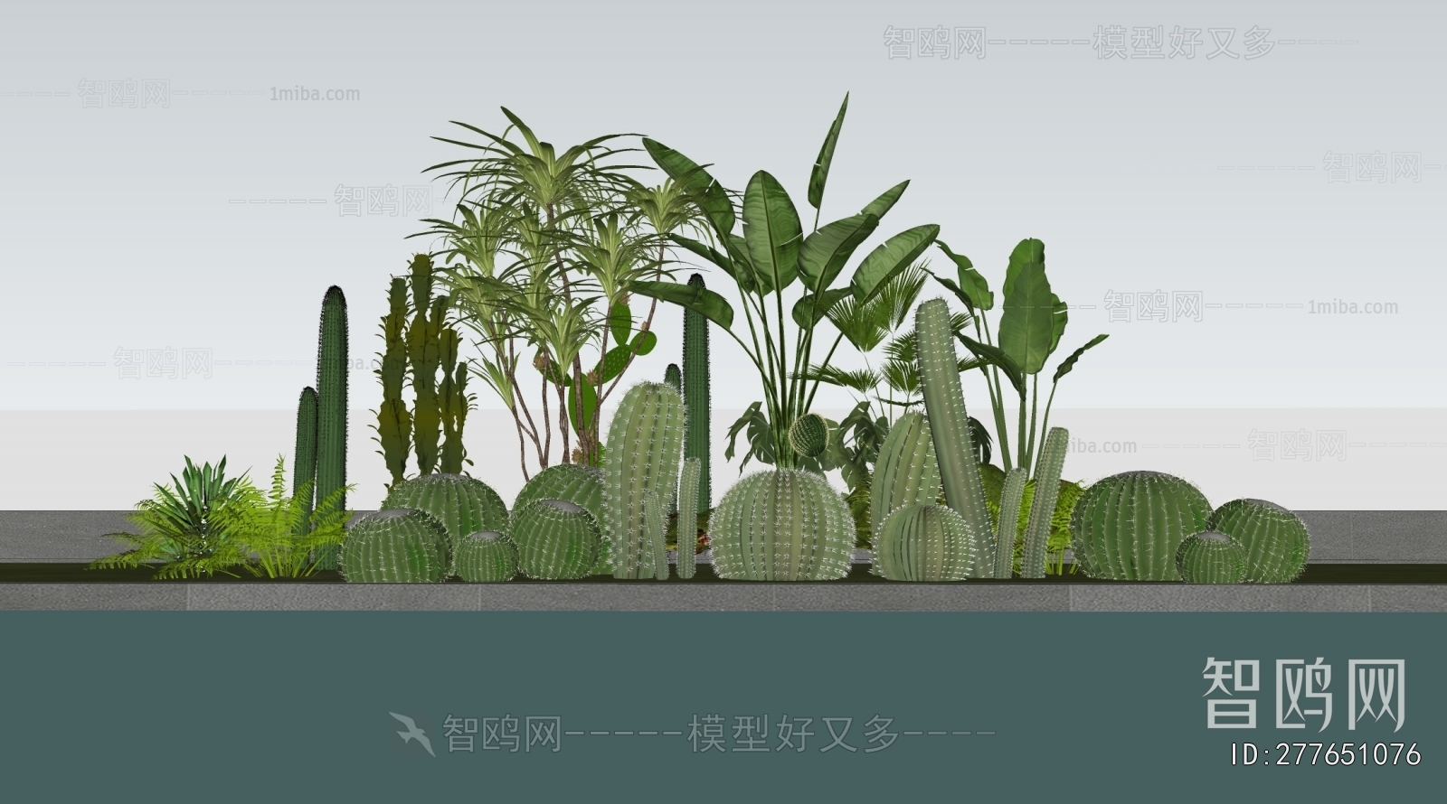 Modern Plant Landscaping