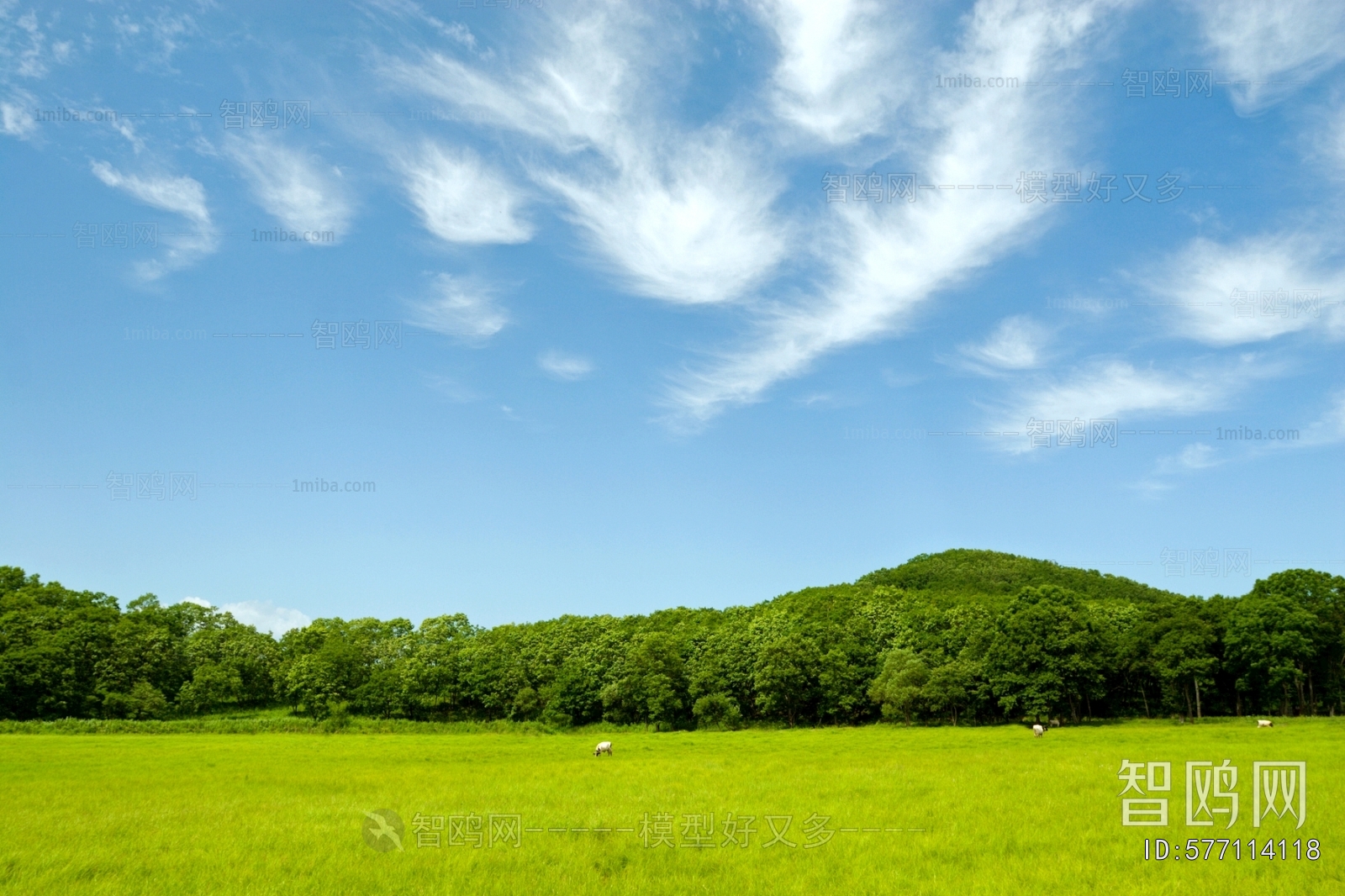天空外景
