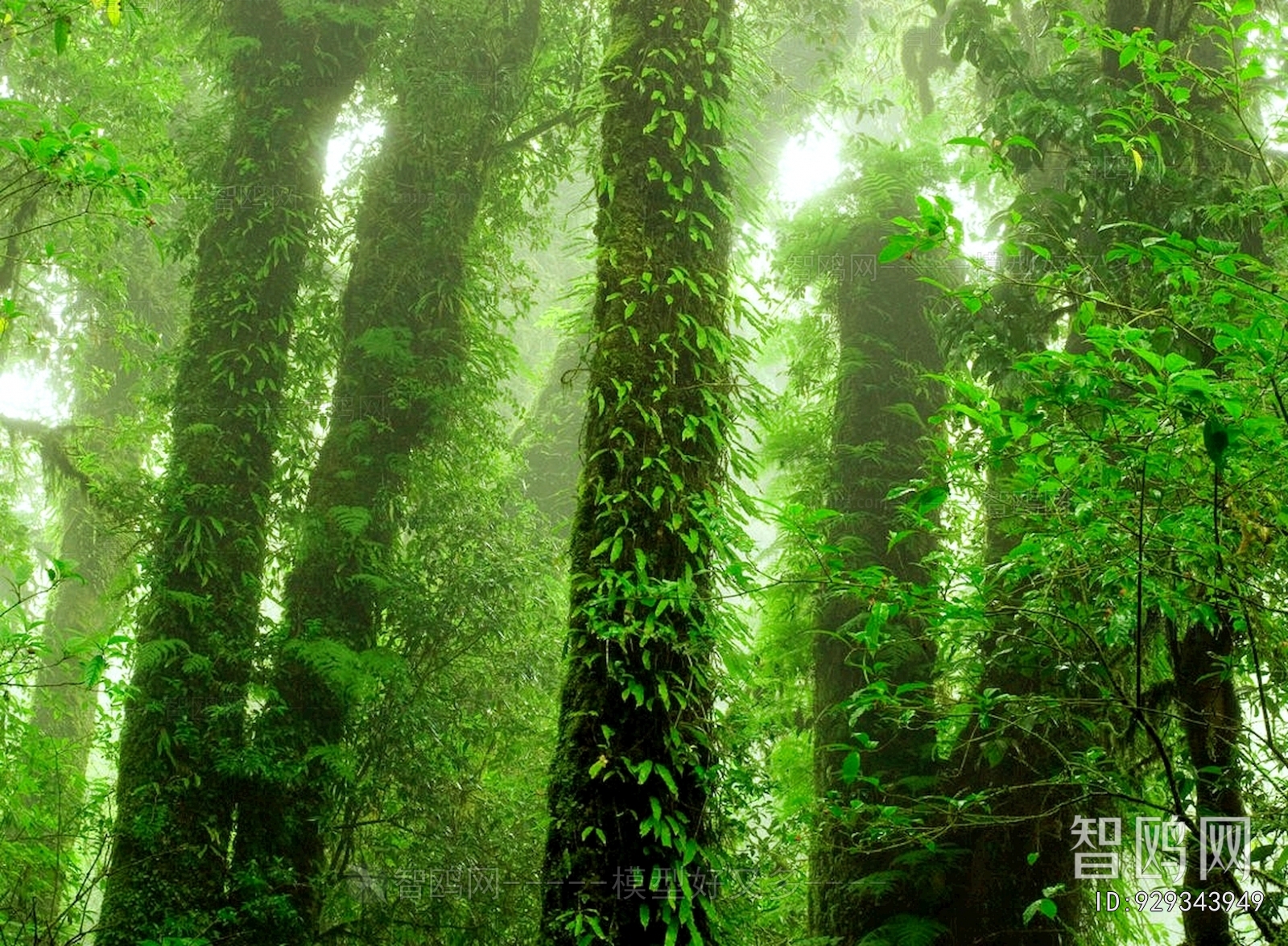 Animal And Plant Pattern Wallpaper