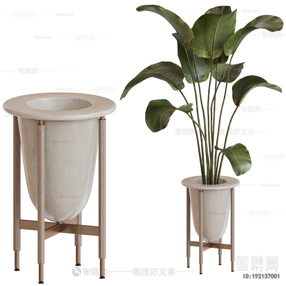 Modern Potted Green Plant