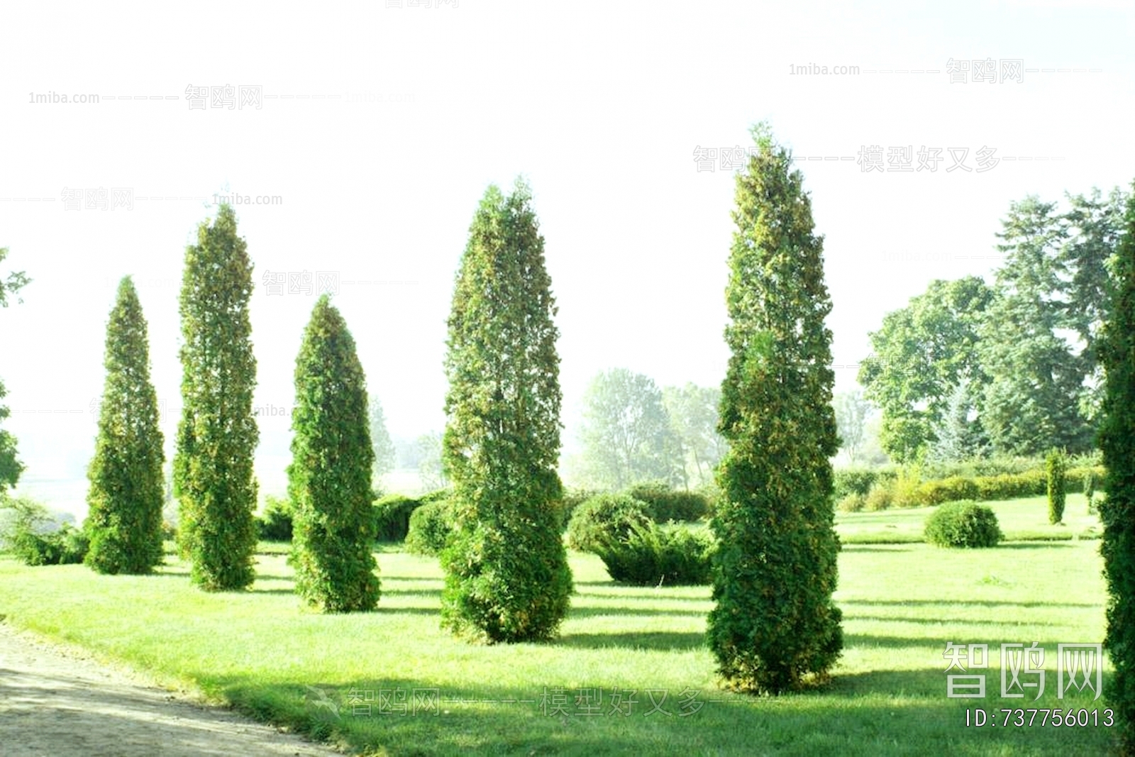 自然风景外景