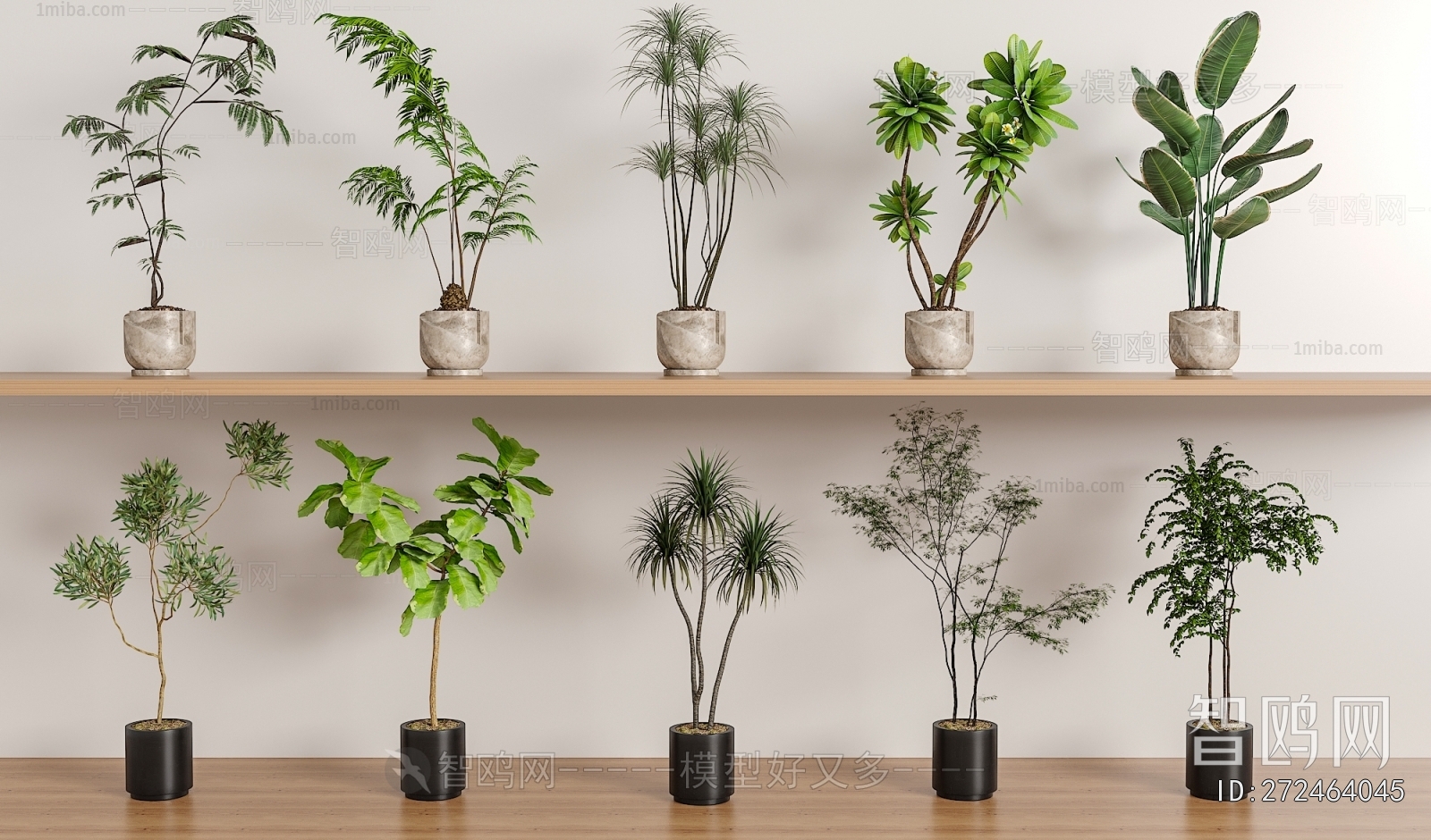 Modern Ground Green Plant Potted Plants