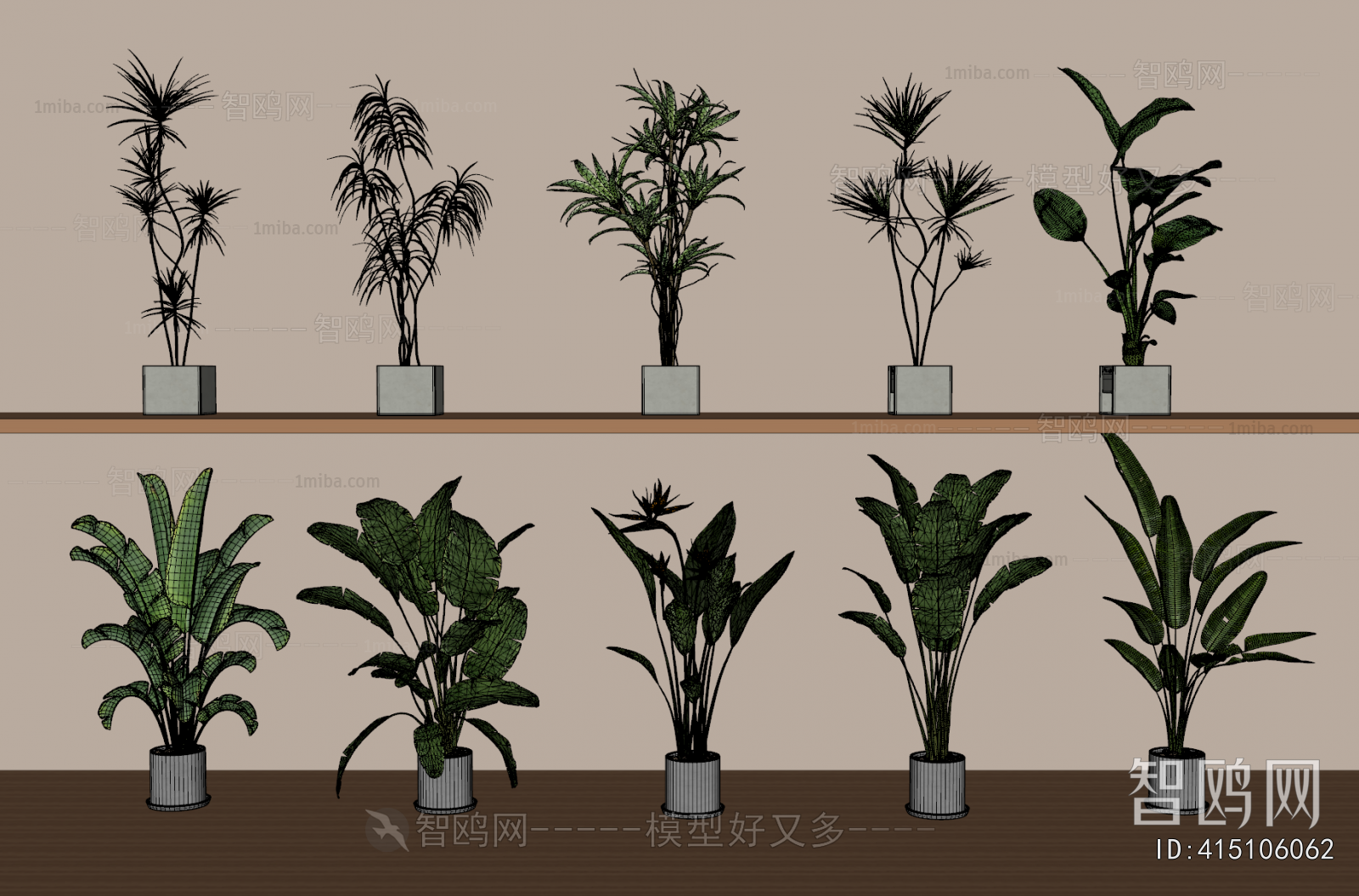 Modern Ground Green Plant Potted Plants