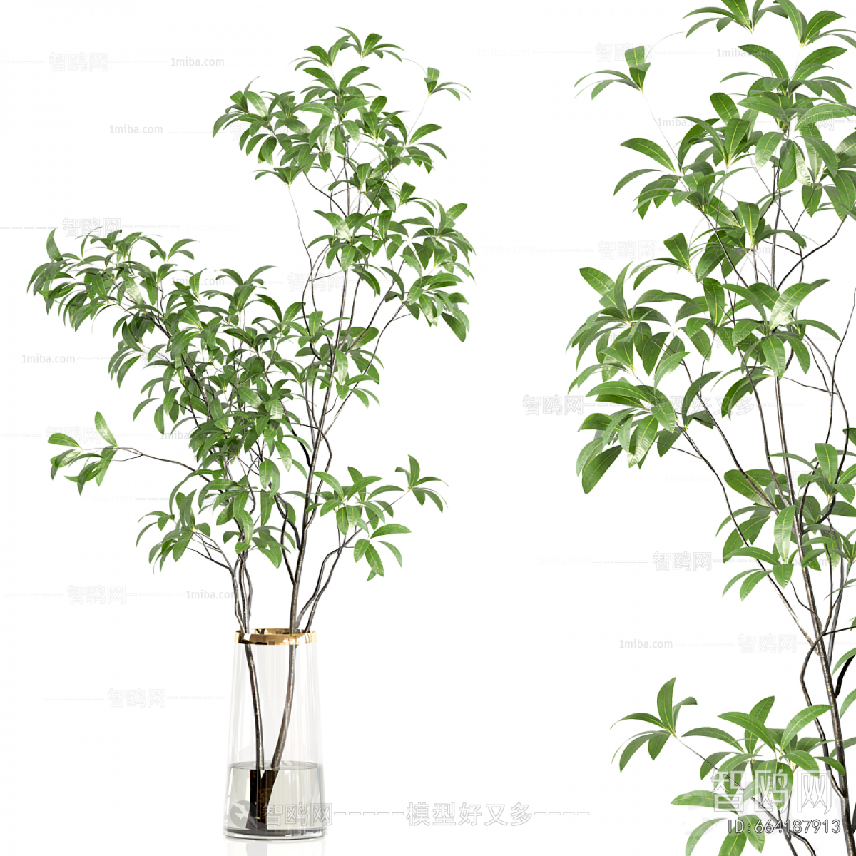 Modern Aquatic Green Plant