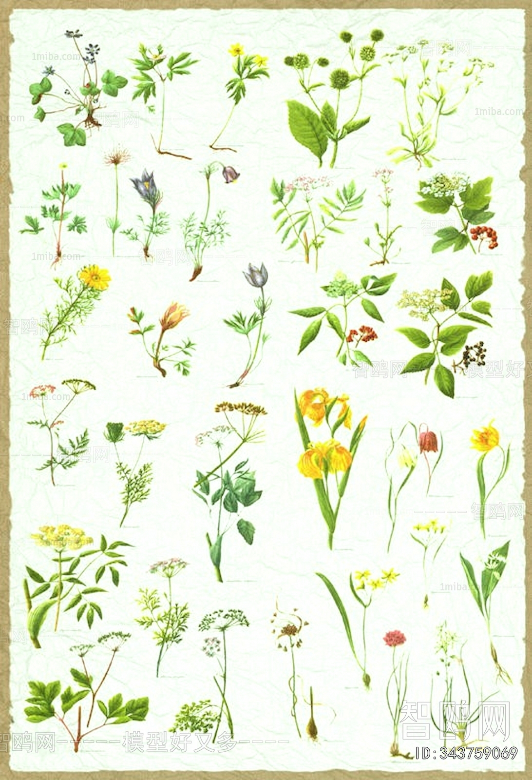 Animal And Plant Pattern Wallpaper