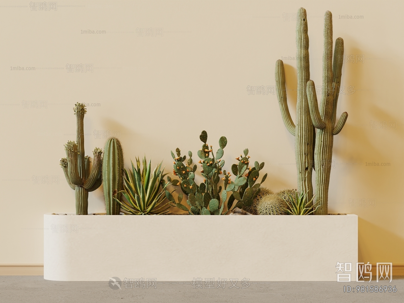 Modern Flower Bed, Flower Bowl, Flower Box