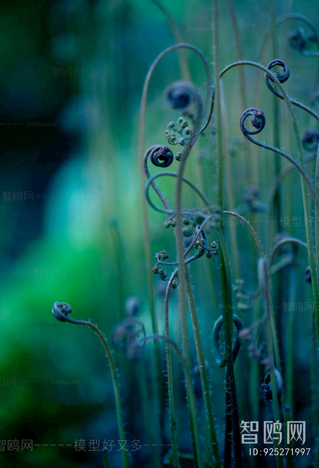 European Style Wallpaper