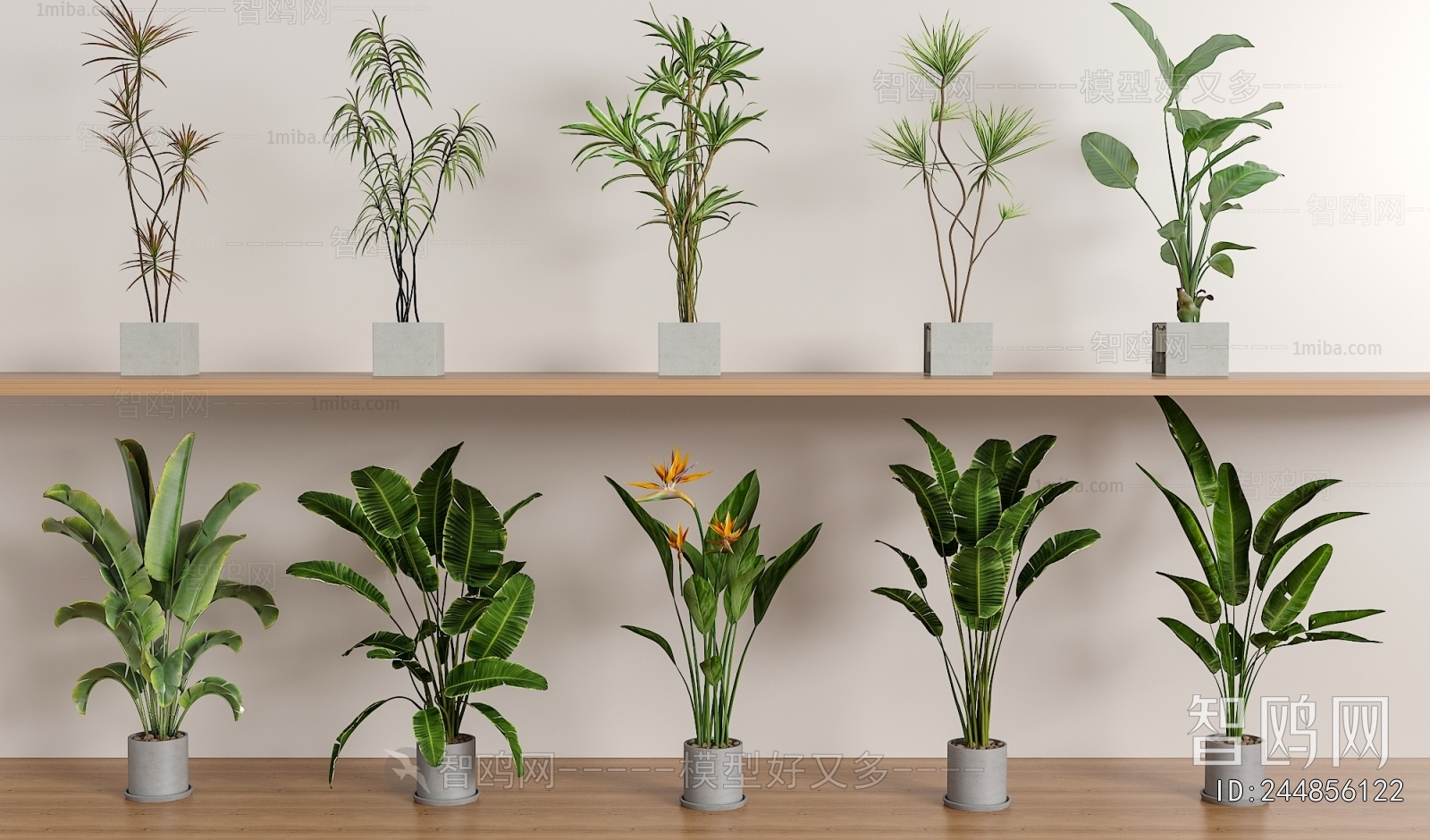 Modern Ground Green Plant Potted Plants