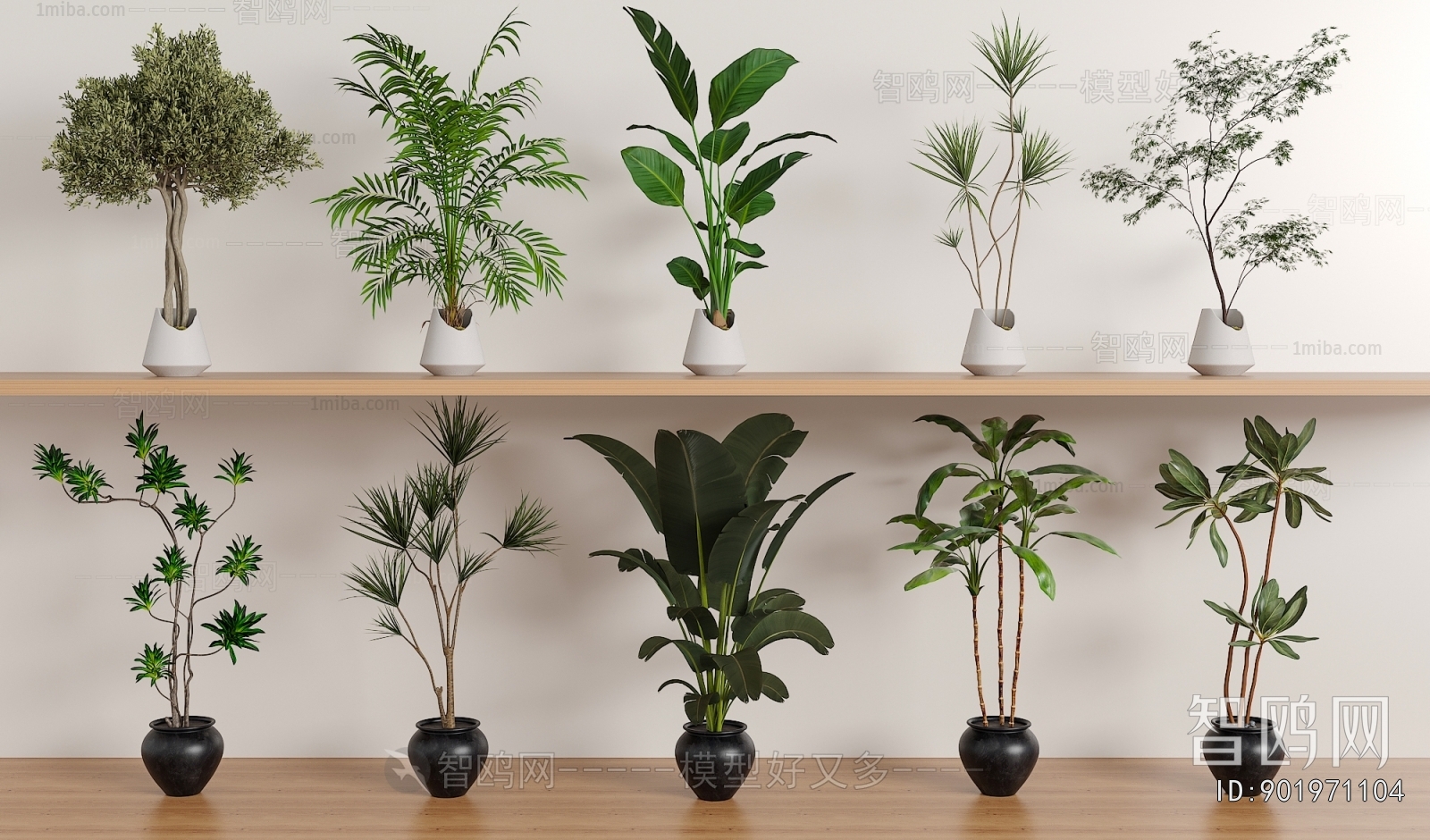 Modern Ground Green Plant Potted Plants