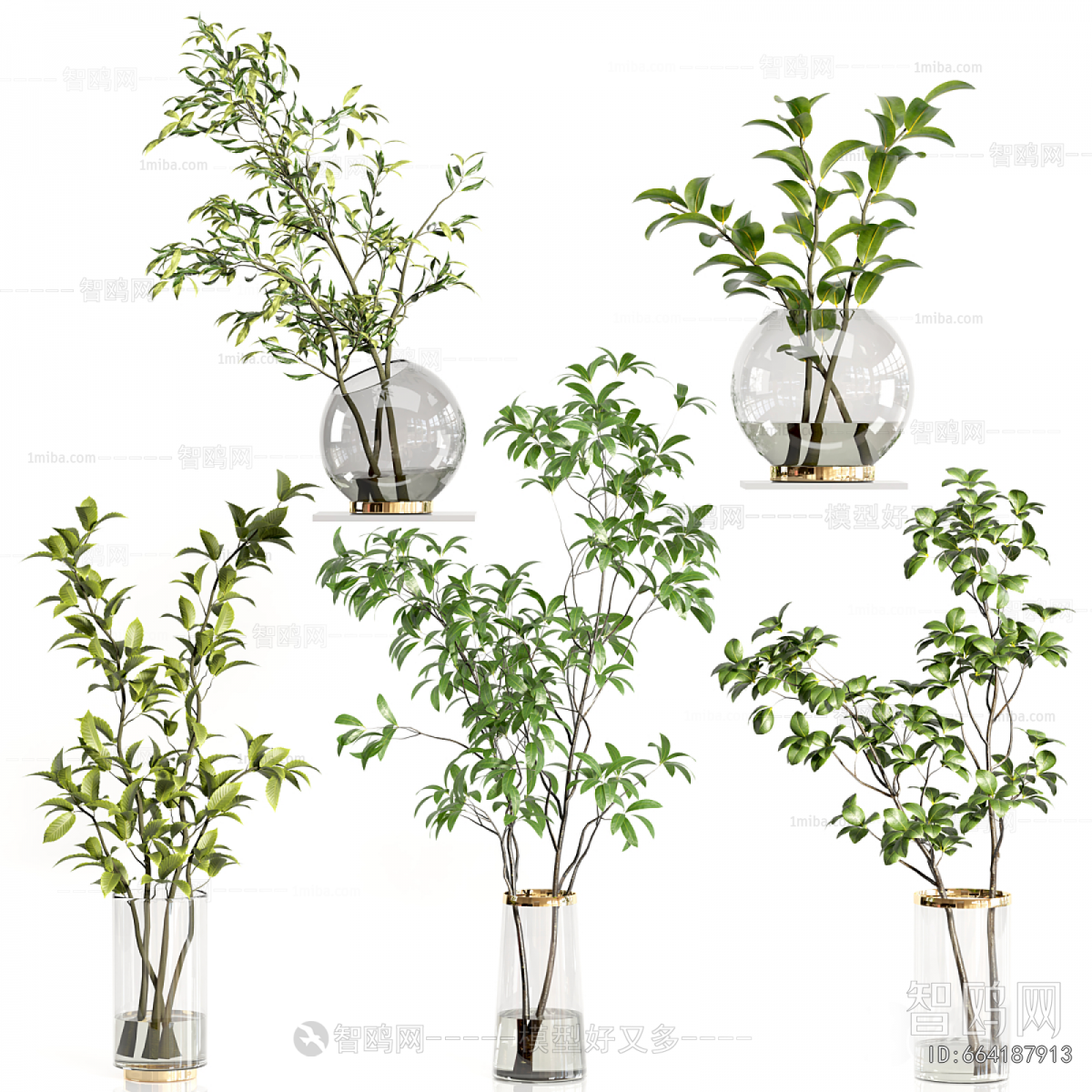 Modern Aquatic Green Plant