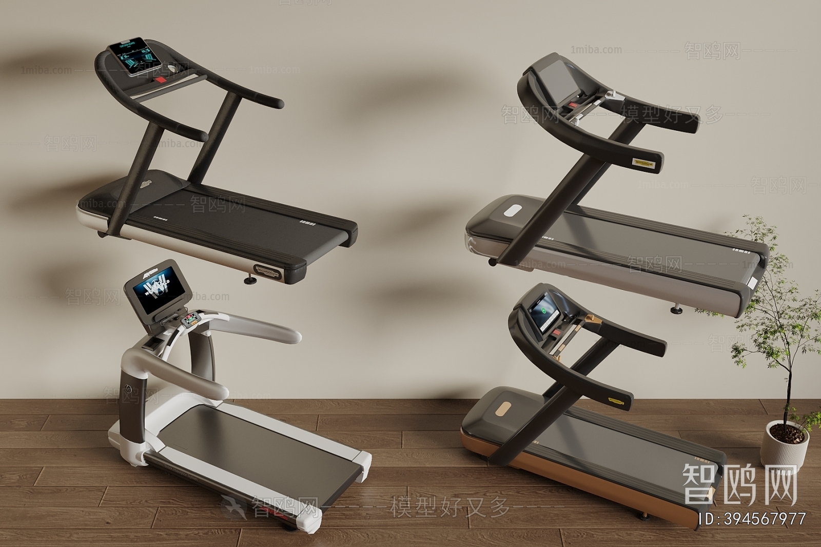 Modern Fitness Equipment