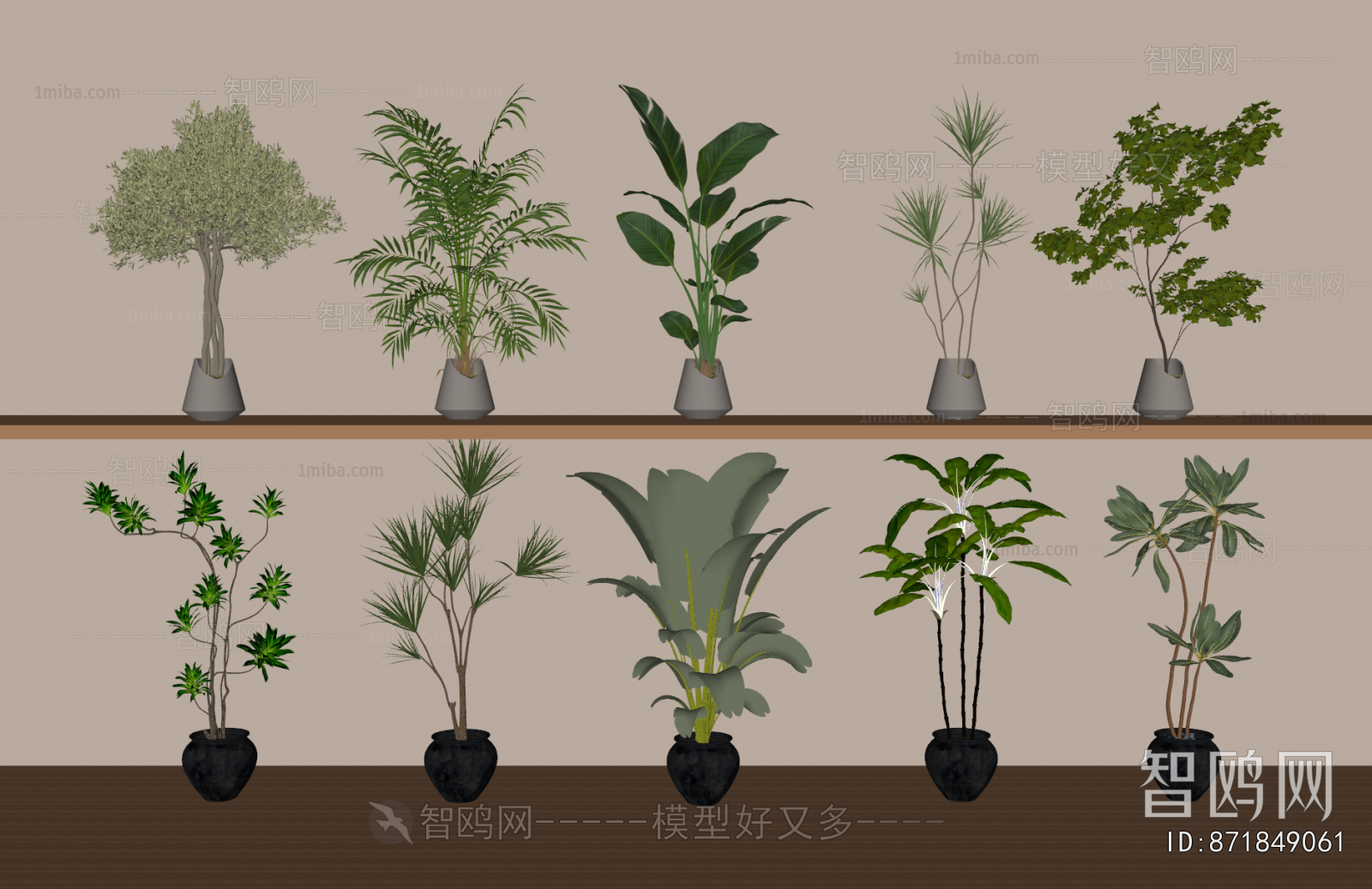 Modern Ground Green Plant Potted Plants