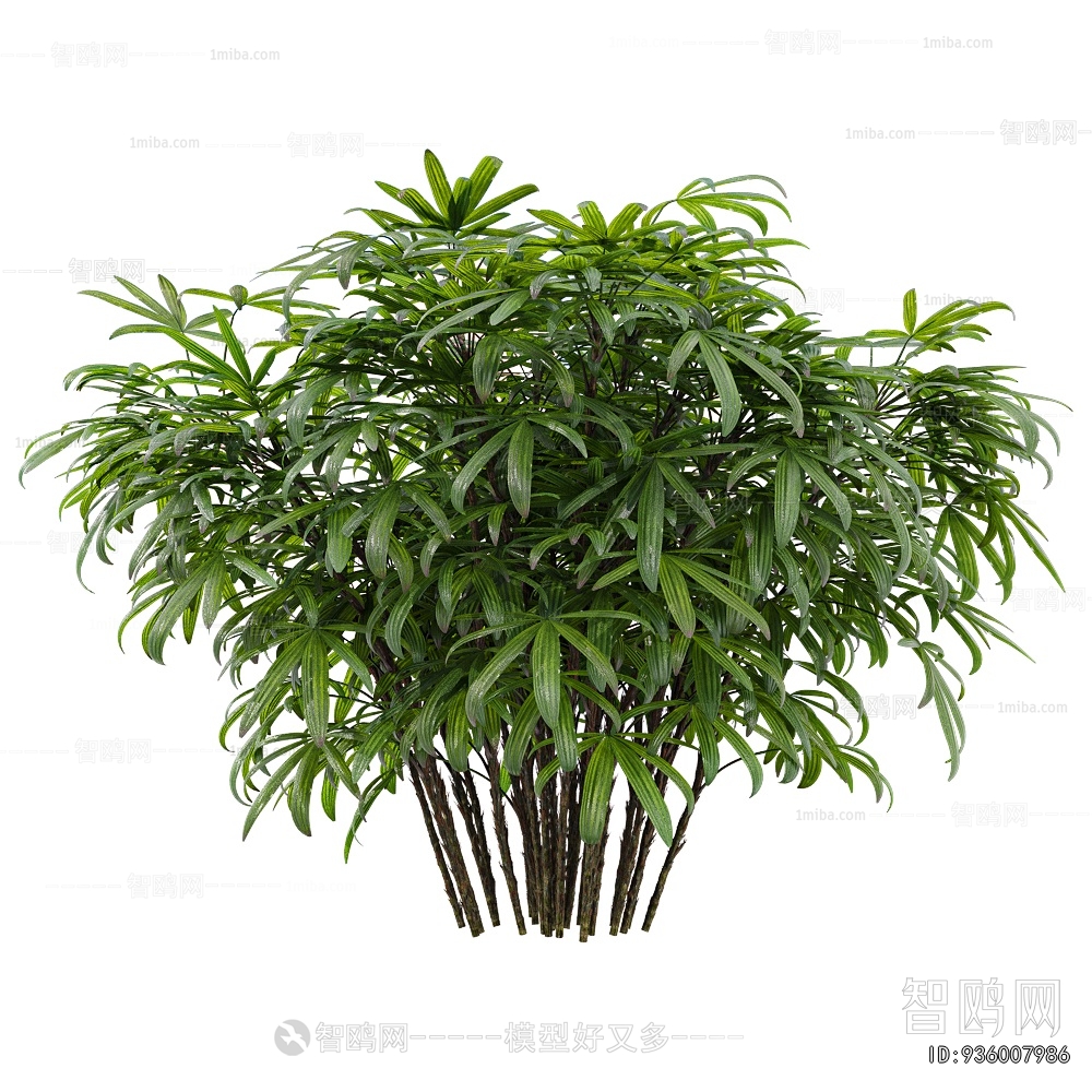 Modern Bamboo